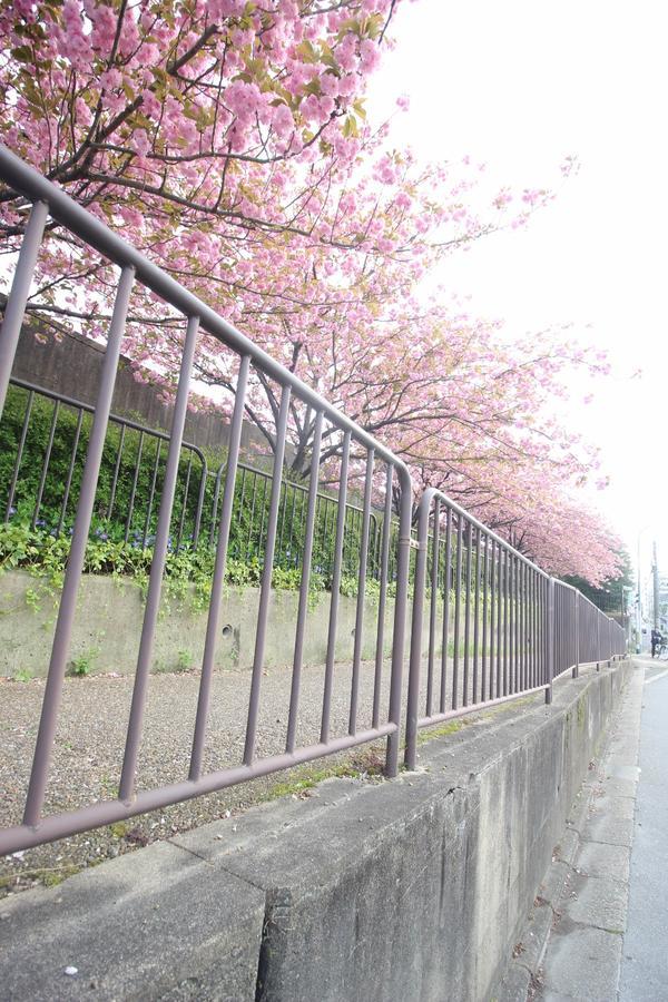 Kiyomori No Baika Hotell Kyoto Eksteriør bilde